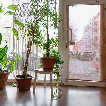 Appartement Boutique Altbau